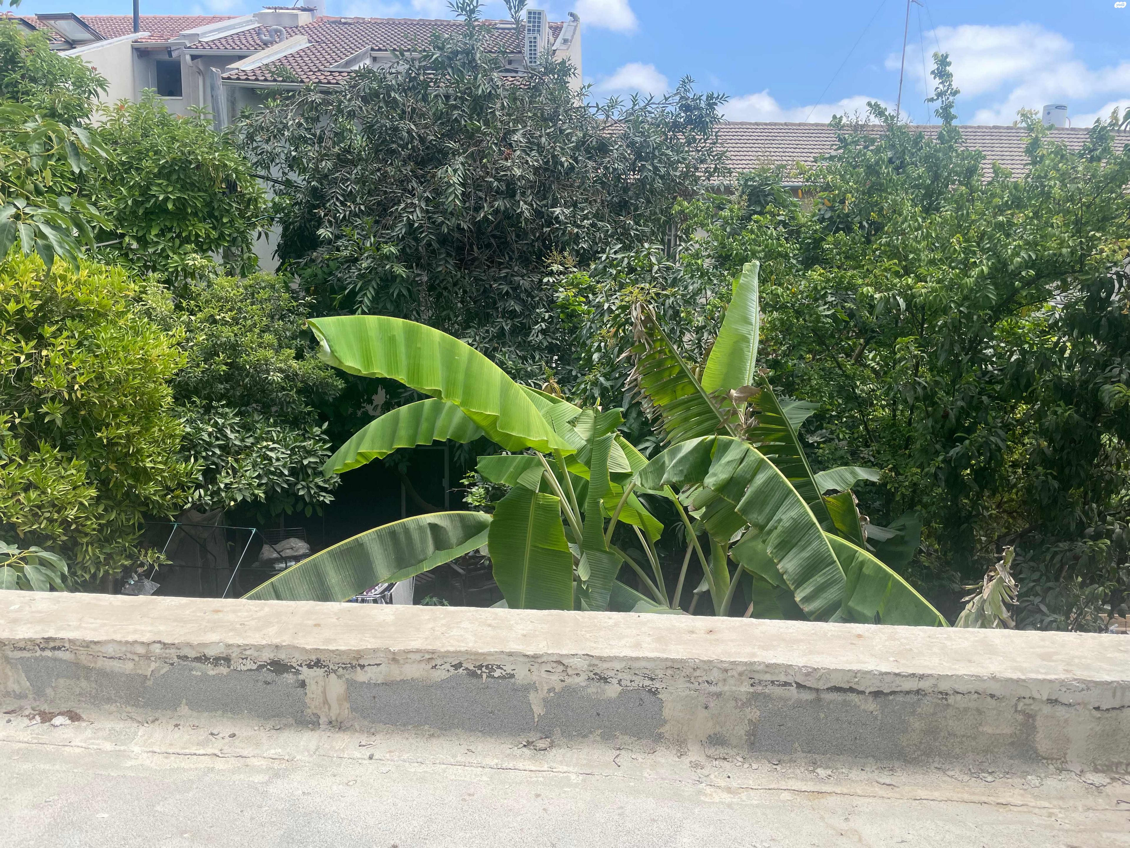 רמת אביב