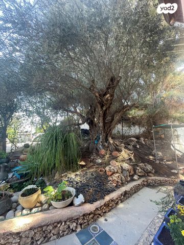 בית פרטי/ קוטג', בית אריה / עופרים