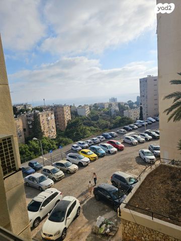דרייפוס 