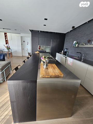 גג/ פנטהאוז, רמת אביב, תל אביב יפו