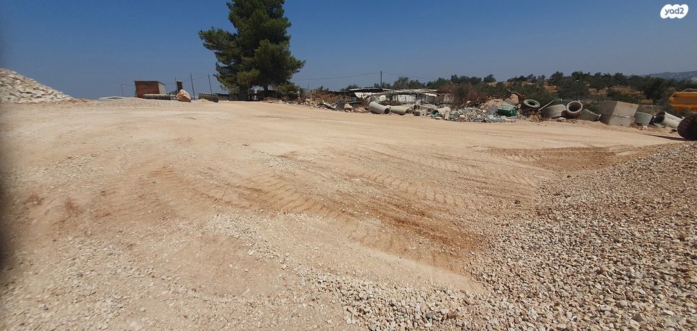 מגרשים, עין גדי, אלקנה