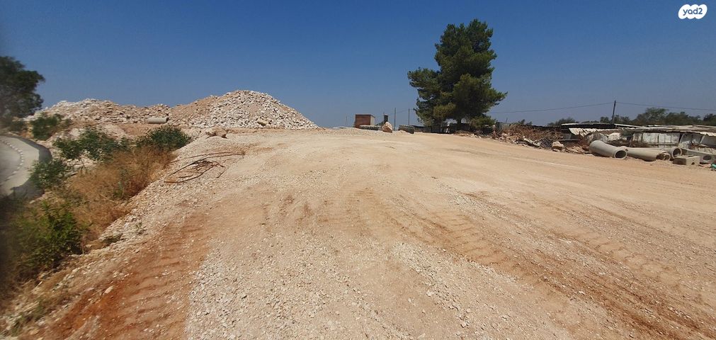 מגרשים, עין גדי, אלקנה