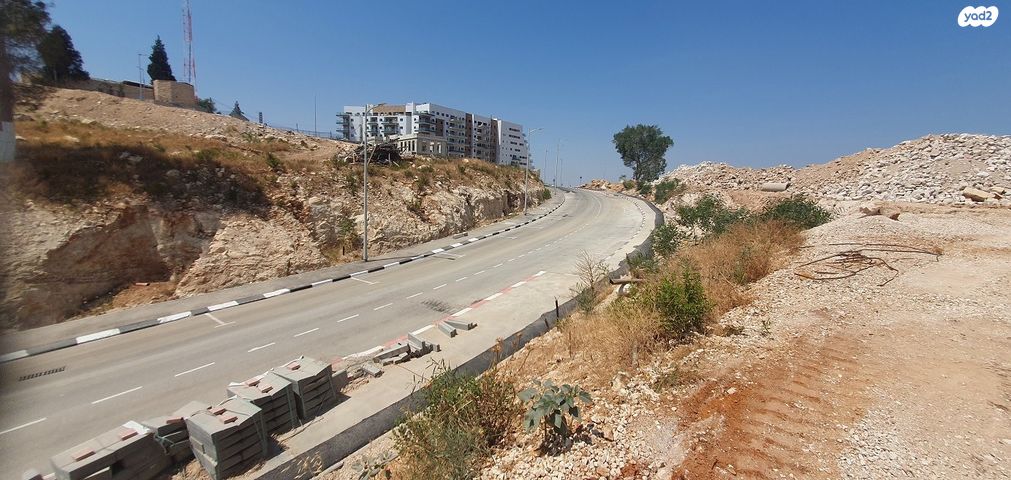 מגרשים, עין גדי, אלקנה