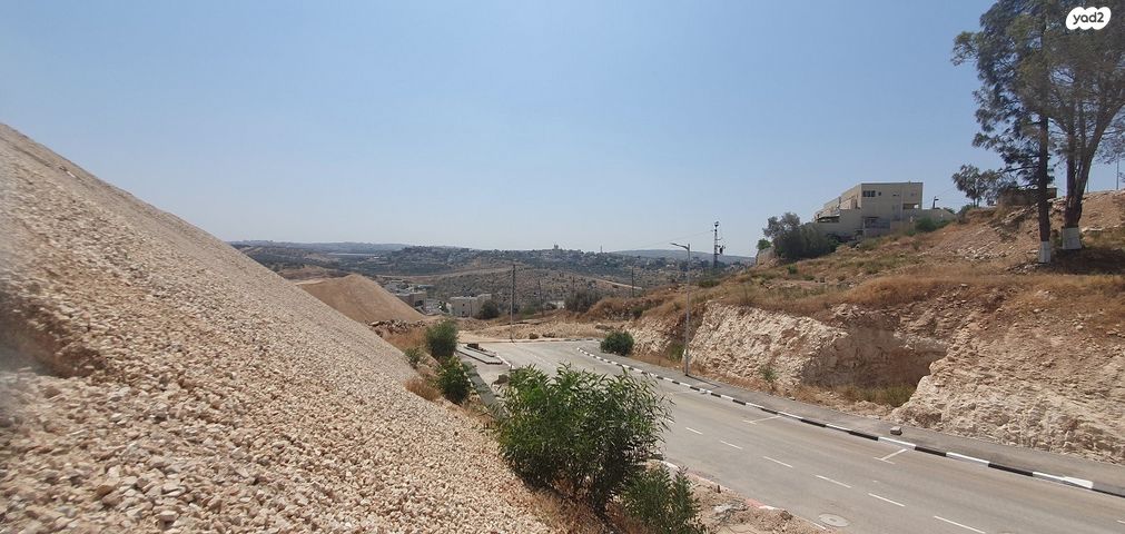 מגרשים, עין גדי, אלקנה