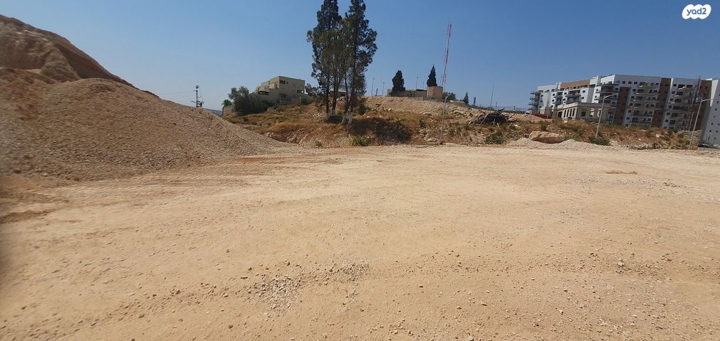 מגרשים, עין גדי, אלקנה