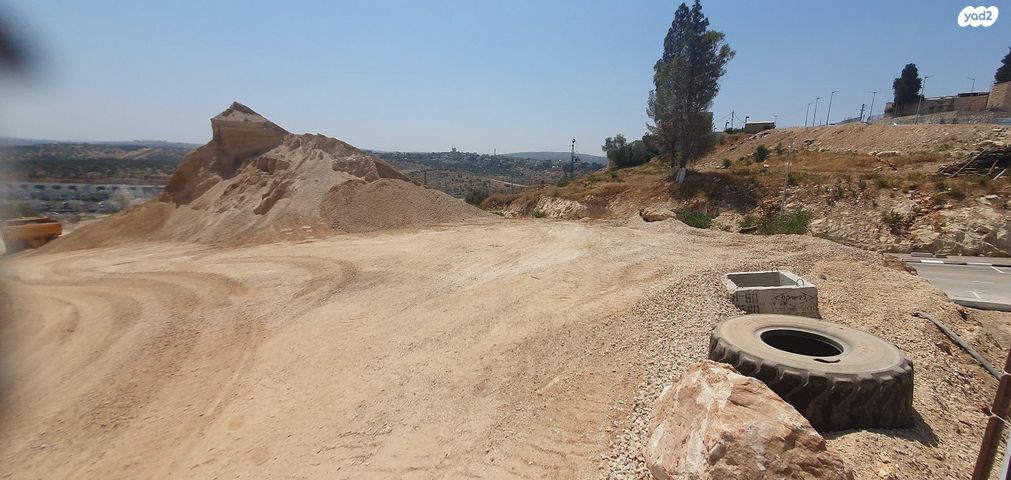 מגרשים, עין גדי, אלקנה