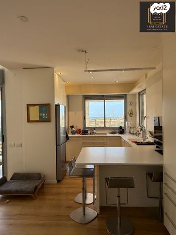 דופלקס, מאיר יערי, כוכב הצפון, תל אביב יפו