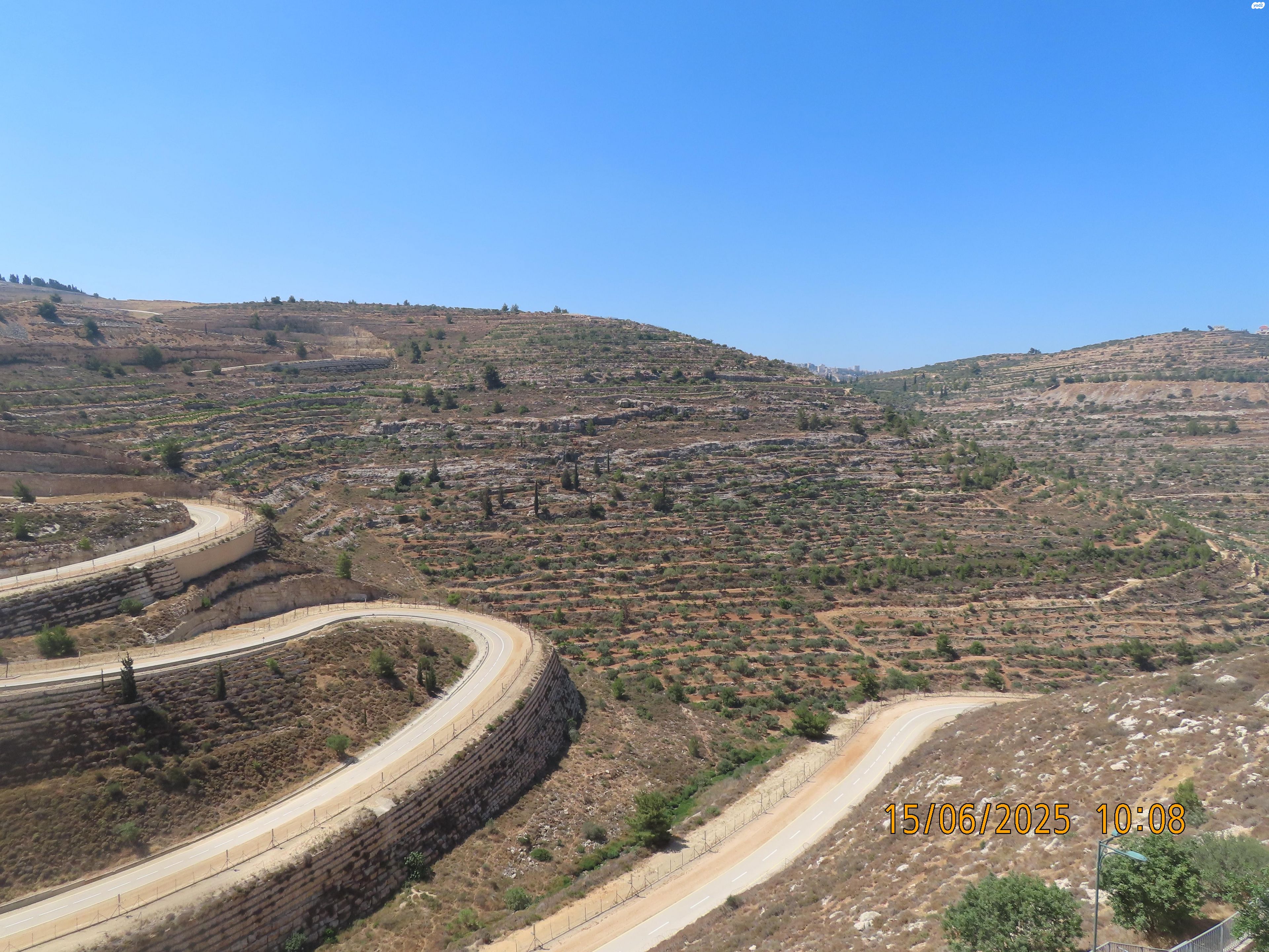 הכפיר 13