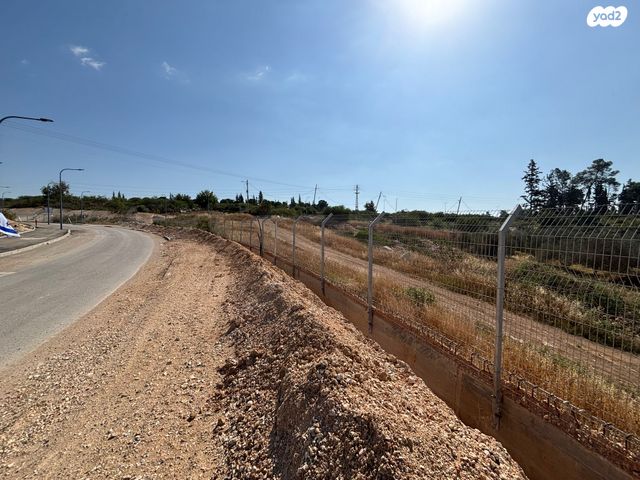 הרב שלמה קרליבך 1