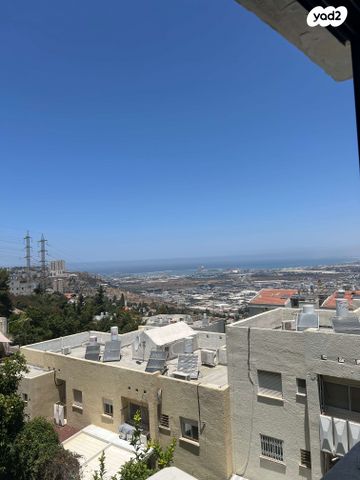 האלון 14