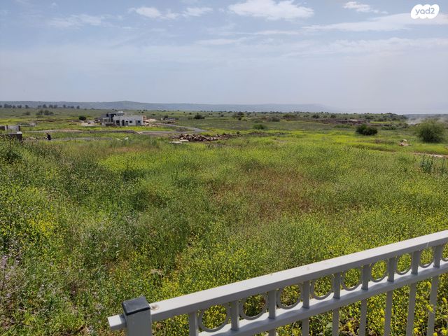 קשת 