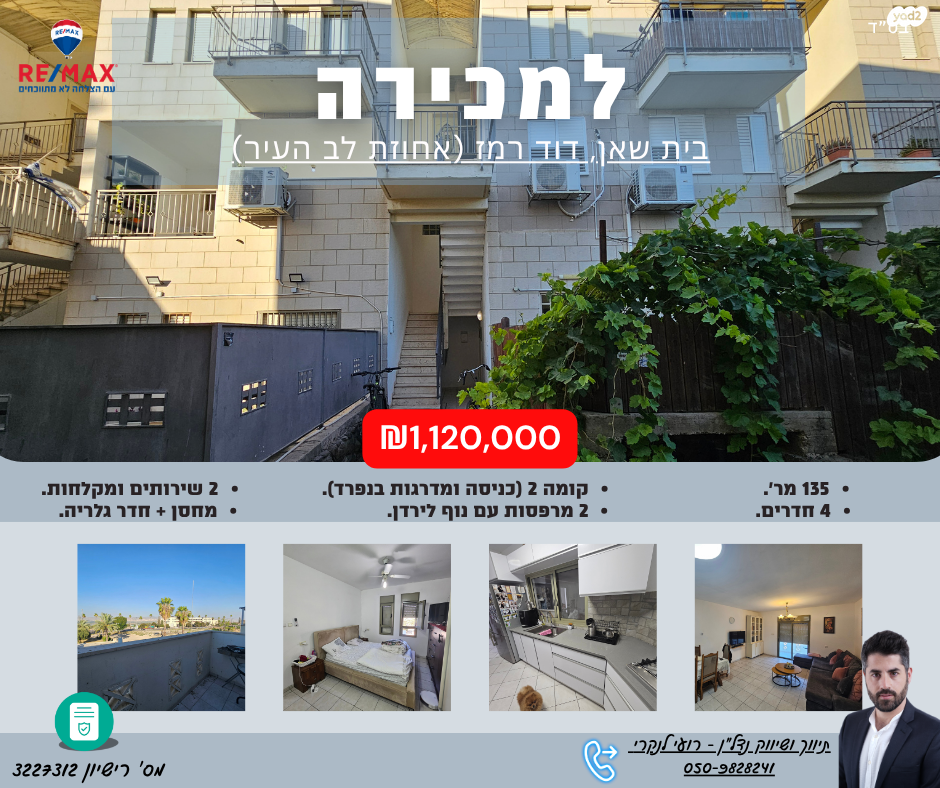 דוד רמז 