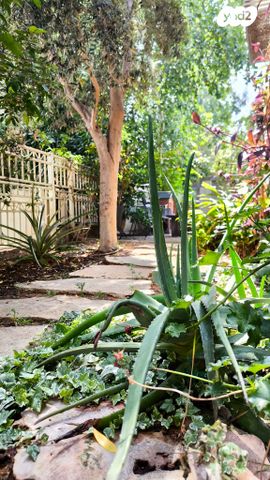 בית פרטי/ קוטג', בר לב, מזכרת בתיה