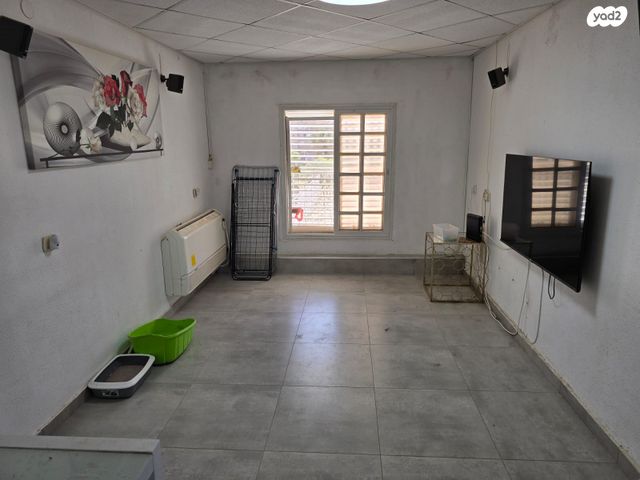 דירה, משה דיין, חכמי ישראל, דימונה