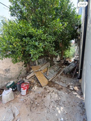 דירת גן, נגבה 11, עמידר, בת ים