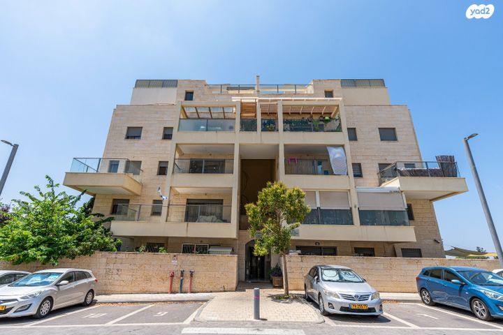 אורן 30