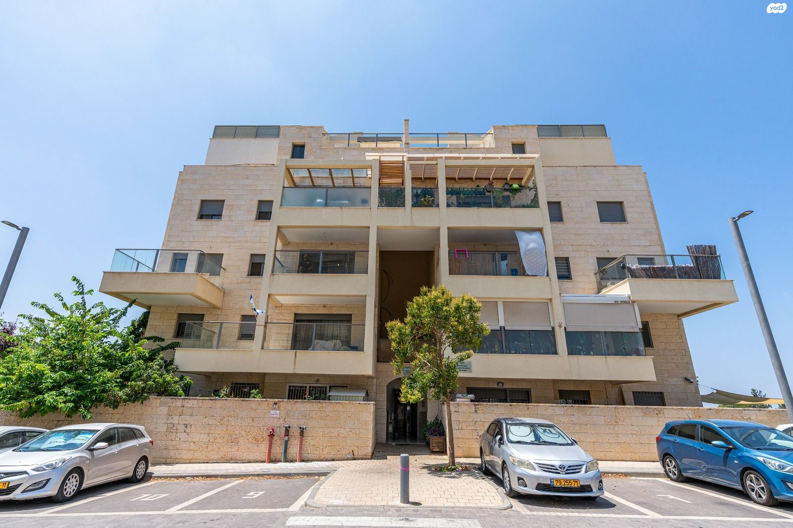אורן 30