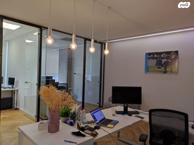 ראול ולנברג 