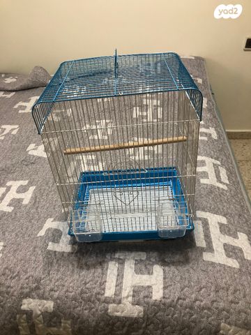 תוכי קוקוטייל