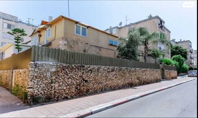פרופ' שור 25