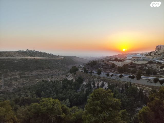 גבעת טל
