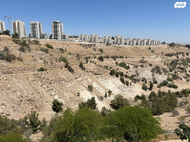 דירה