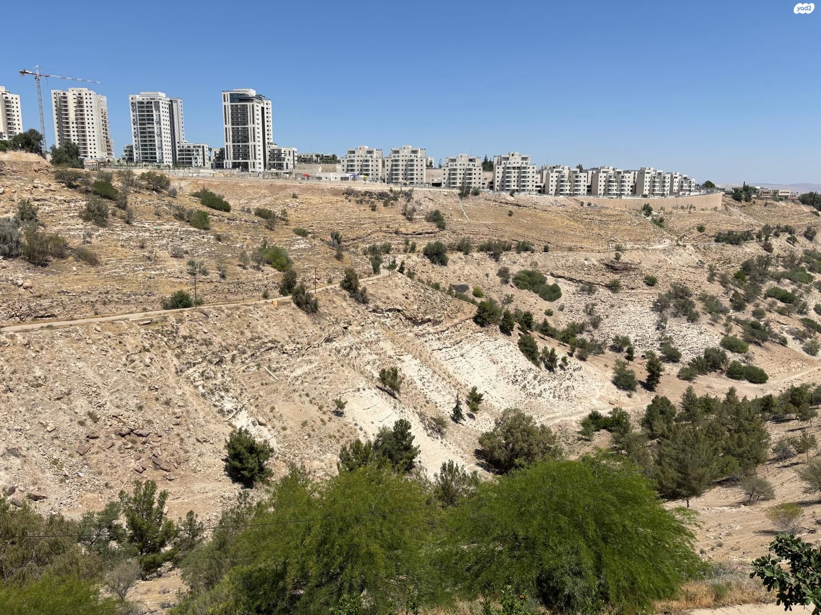 דירה
