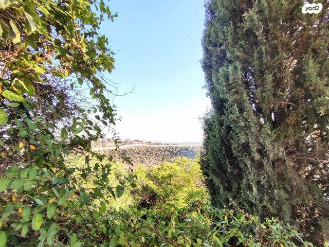 דו משפחתי, כרמל, אלפי מנשה