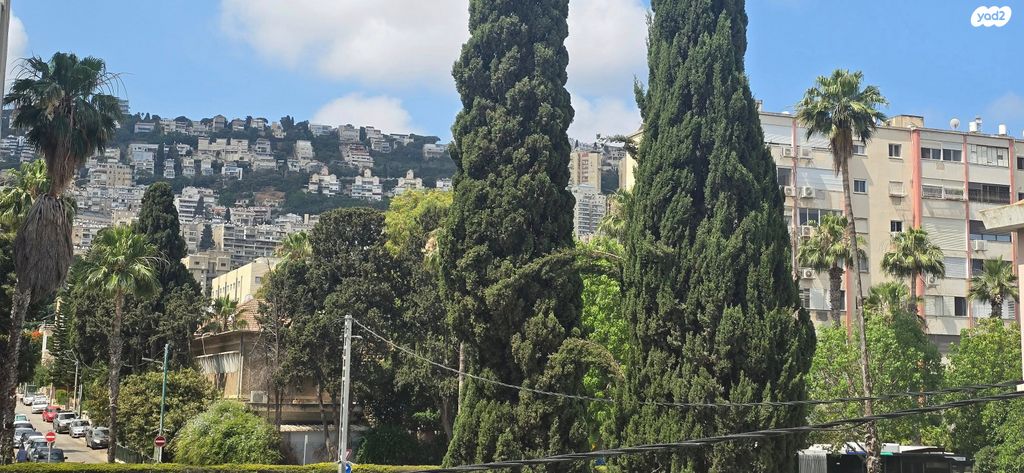 דירה, בילהרץ, המושבה הגרמנית, חיפה