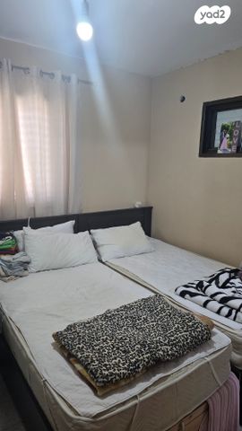 דירה, מיכה, מלכי ישראל, קרית גת