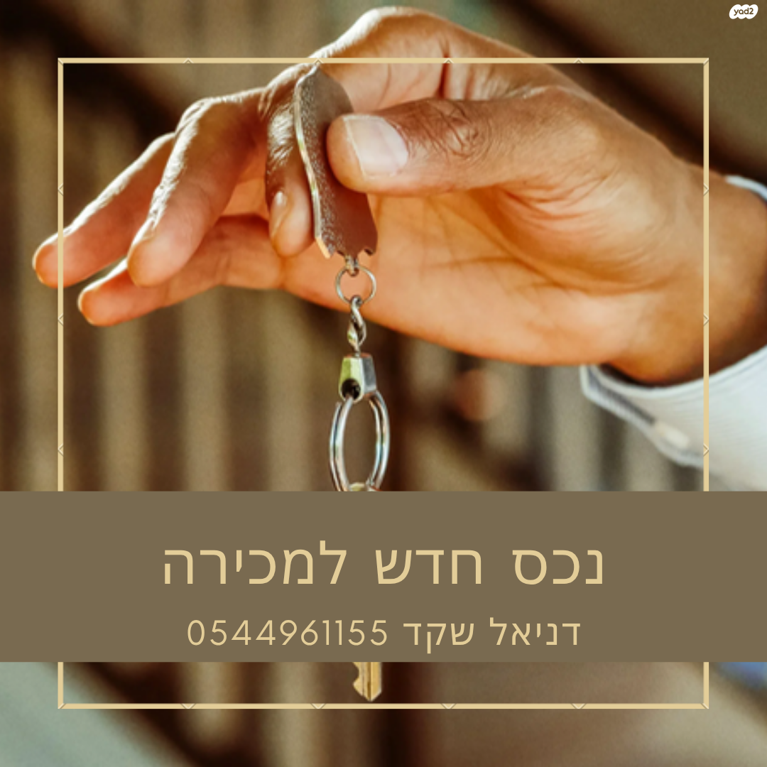 דפנה 