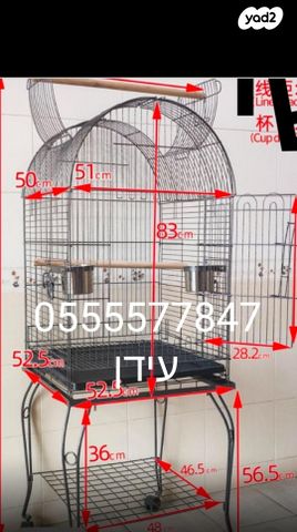 תמונת מודעה - חיות מחמד