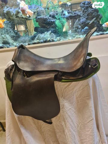 אביזרים | אוכף