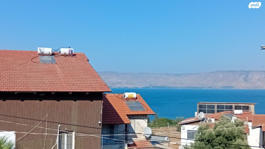 טולידאנו 24