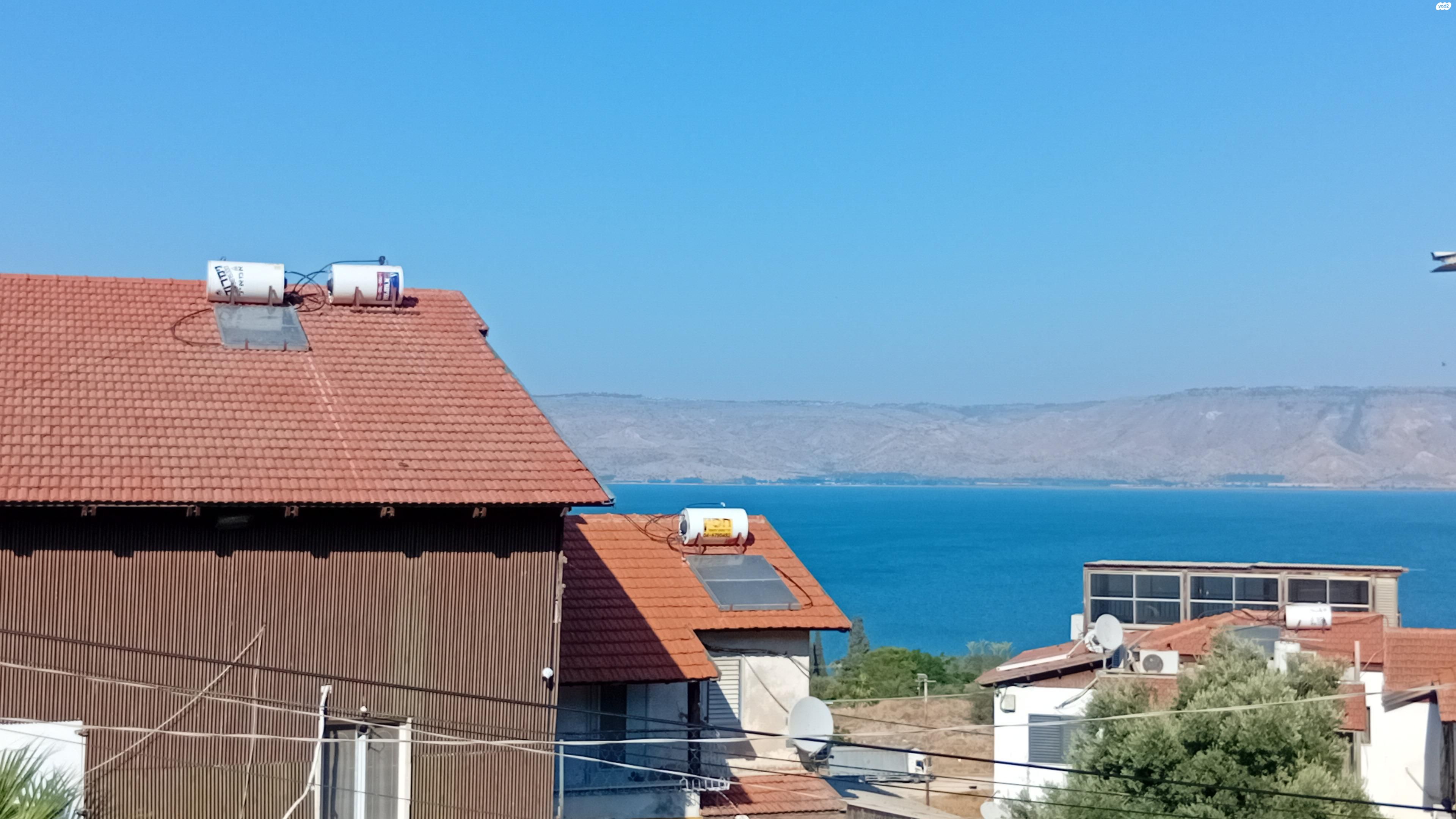 טולידאנו 24