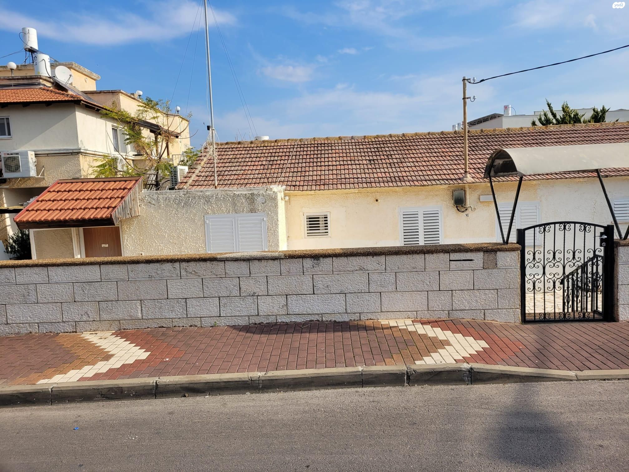 המלך דוד 10