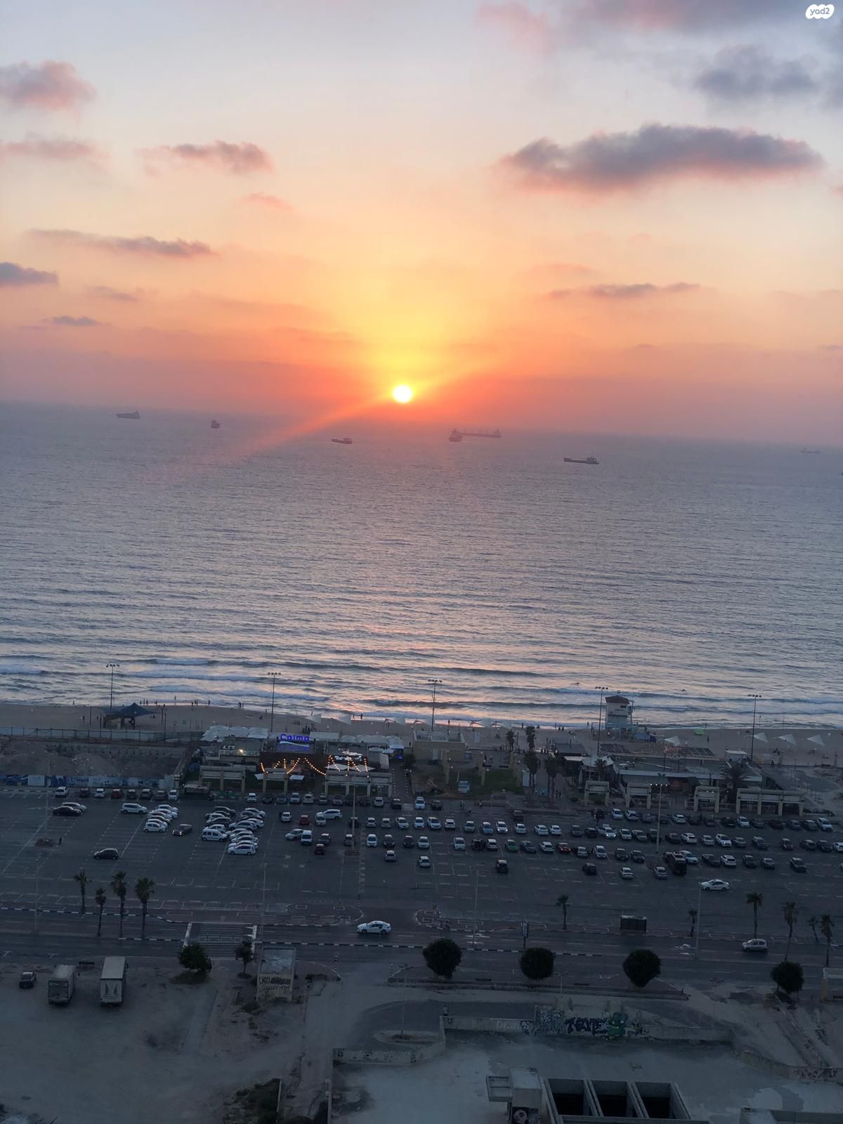 הדקל 9