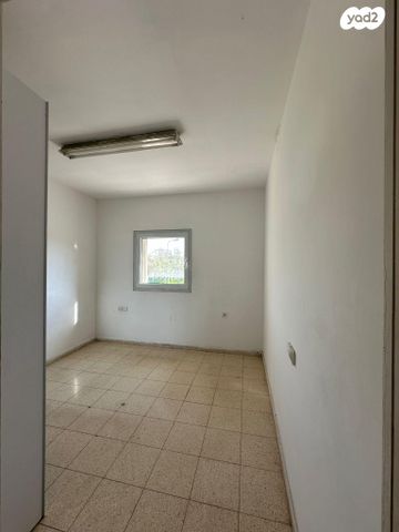 דירה, הכרכום 13, צמח השדה, מעלה אדומים