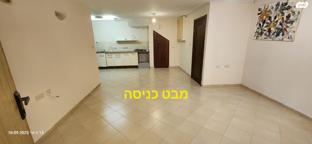 אורן 13