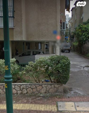 הורוביץ 39