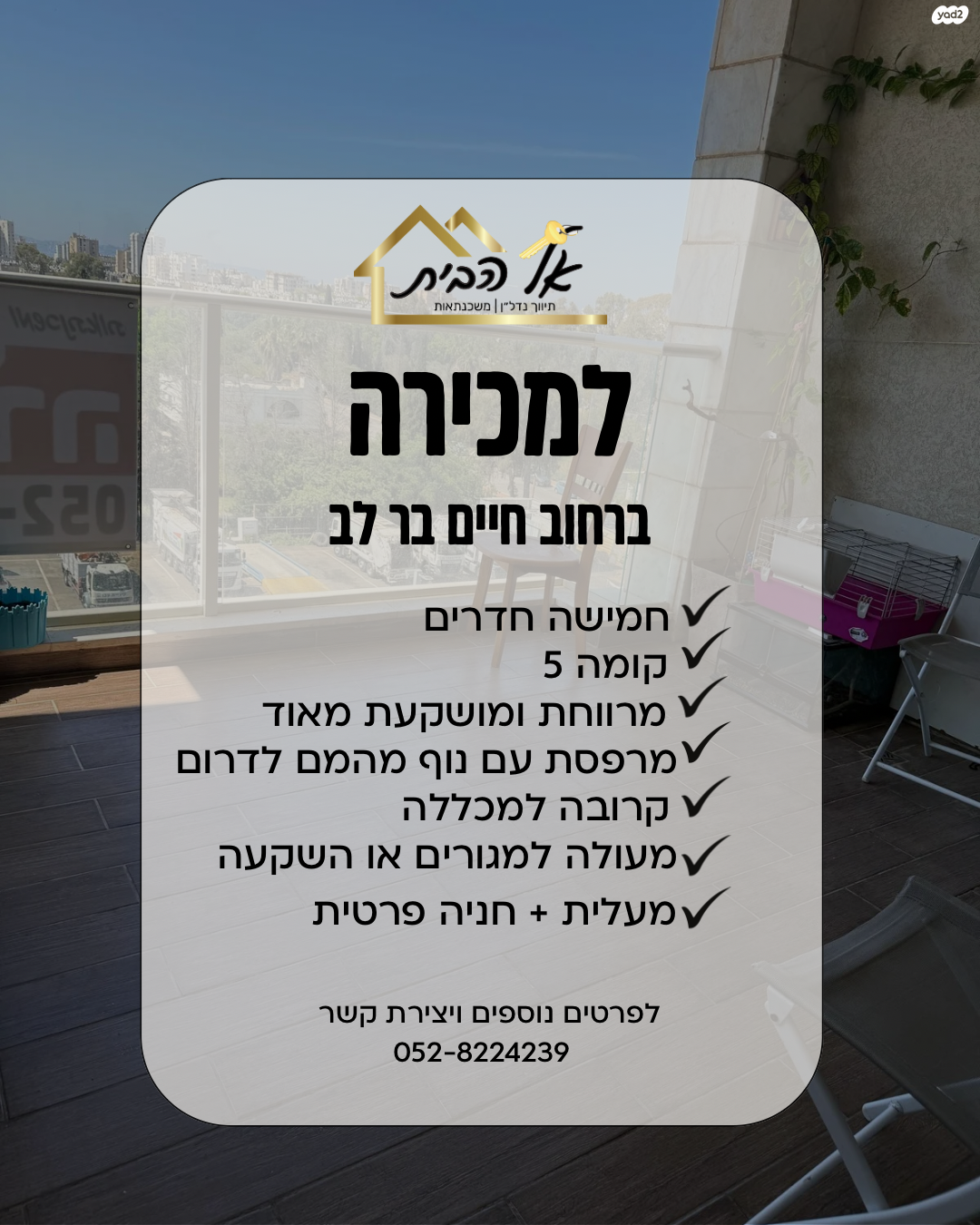 חיים בר לב 2