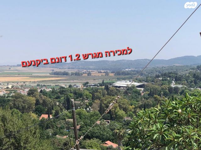 נוף העמק