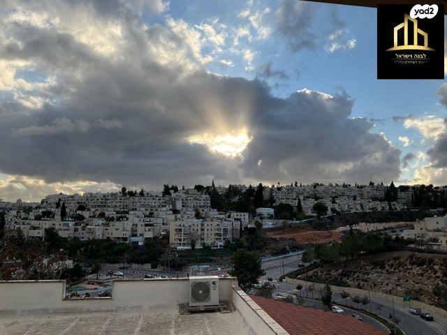 הנרי מורגנטאו 