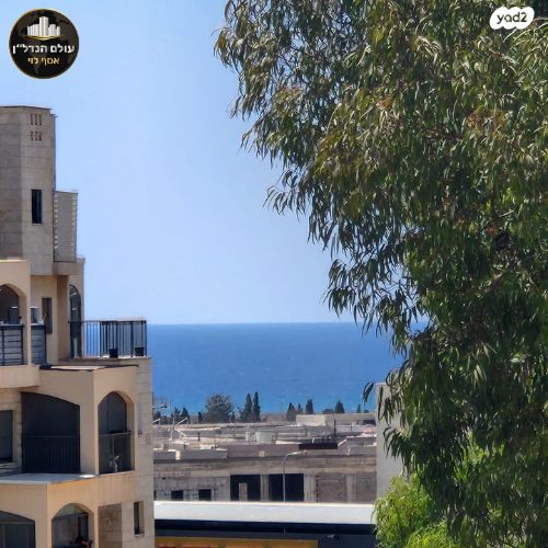 דירה, הרצל, שז"ר / דקר, טירת כרמל