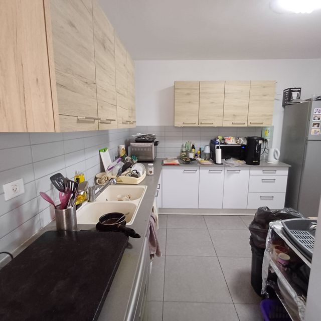 דירה, אורן, החורש, חריש