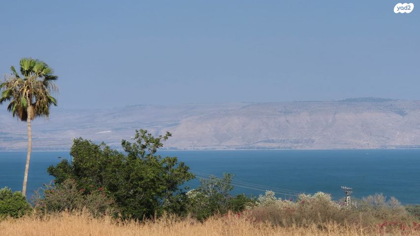 בית פרטי/ קוטג', השיטה, מגדל, מגדל