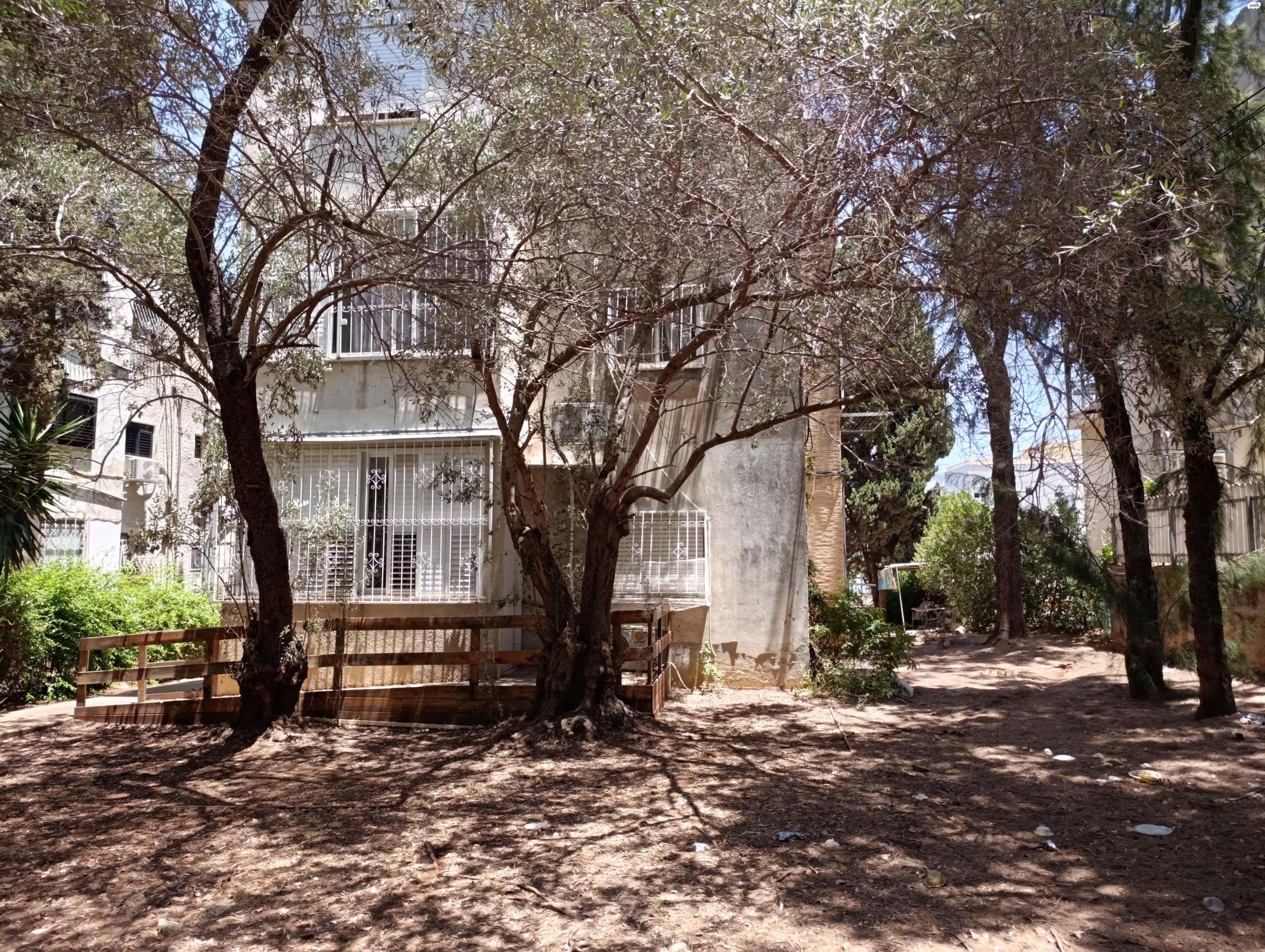 נתיב חן 