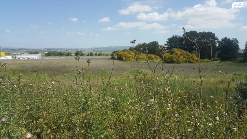 מגרשים, דרך העמק, יקנעם, יקנעם