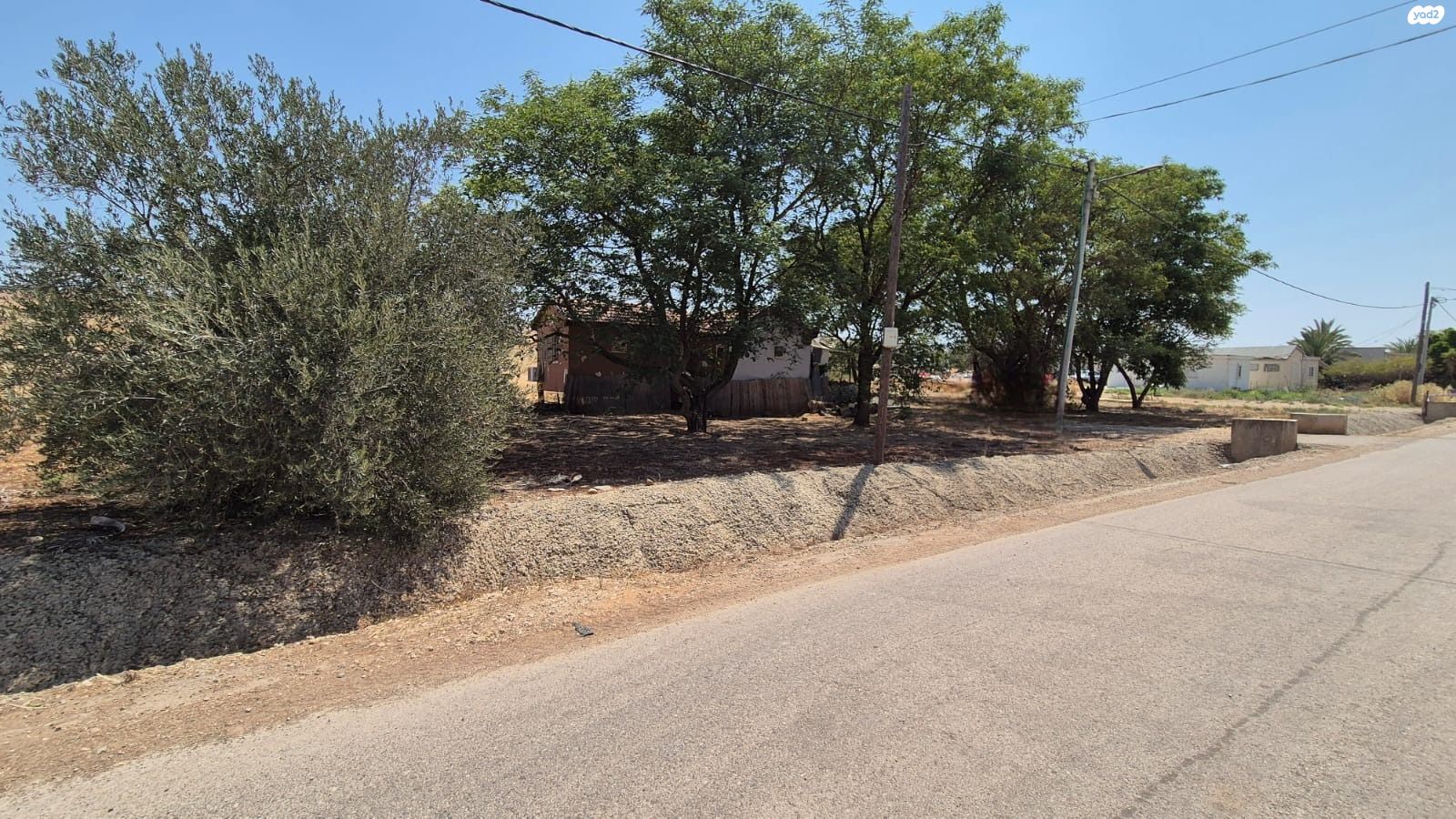 קיבוץ גלויות 