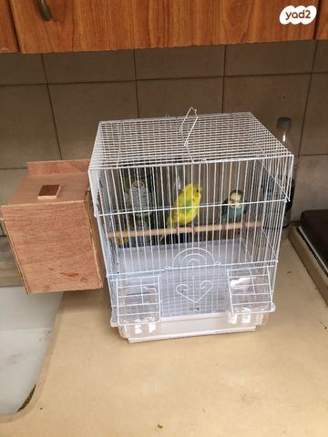 אביזרים | כלוב